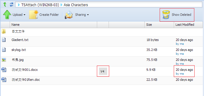 DownloadFile01